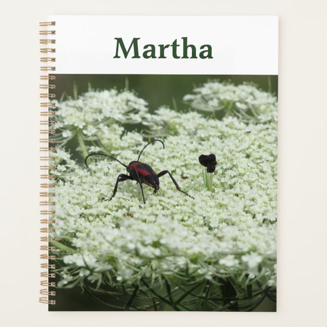 Insect on Elderflower Planner (Front)