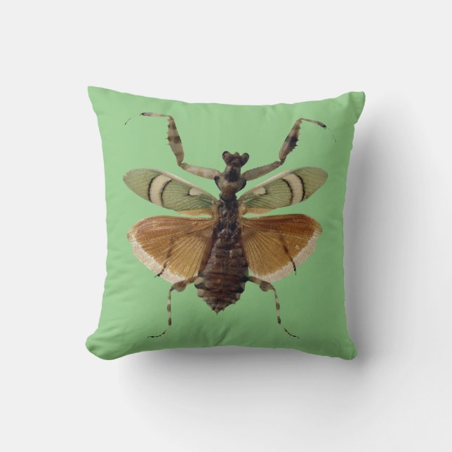 Insect Pillow Green (Front)