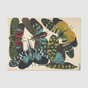 Insectes, Insects, Plate No.16 by E. A. Seguy Tissue Paper