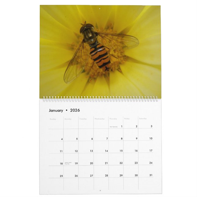 Insects 2015 Calendar (Jan 2026)