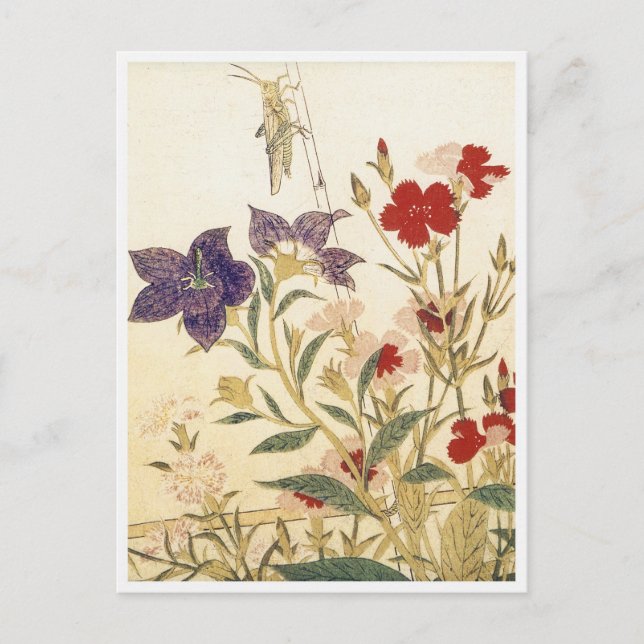 Insects and Flowers by Utamaro Postcard (Front)