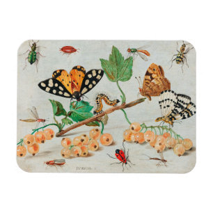 Insects and fruits - Jan van Kessel Magnet
