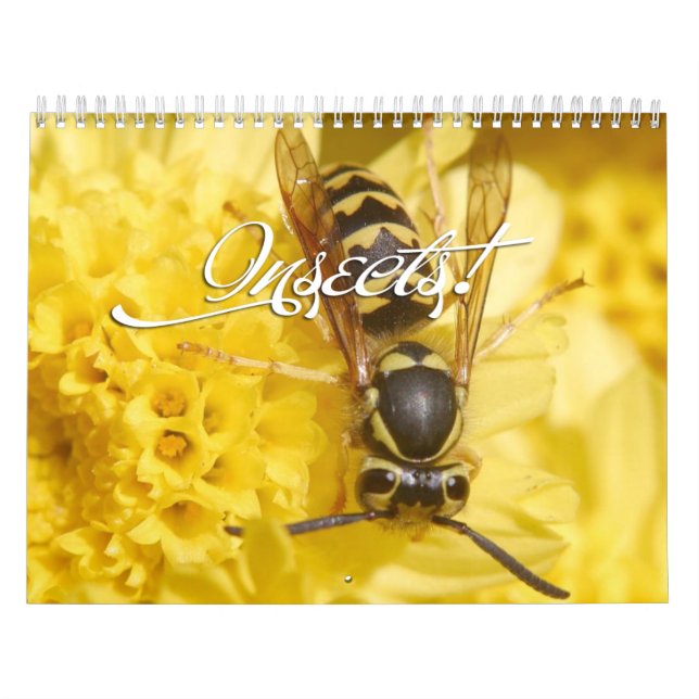 Insects Calendar (Cover)