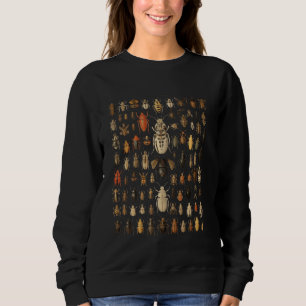 Insects Collection Entomology Bugs Species Insect  Sweatshirt