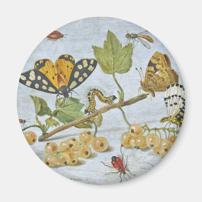 Insects Crawling Magnet (Front)