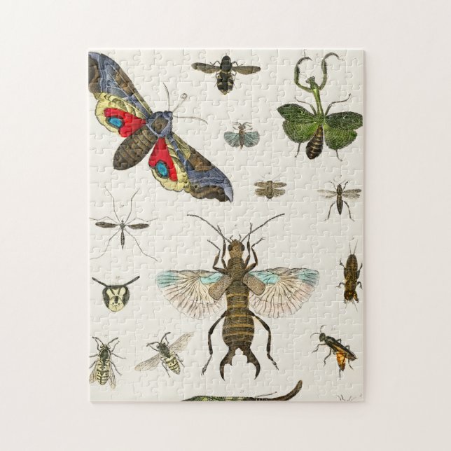 insects, insect, nature, butterfly, bugs, bee jigsaw puzzle (Vertical)