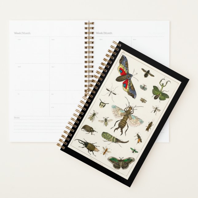 insects, insect, nature, butterfly, bugs, bee planner (Display)