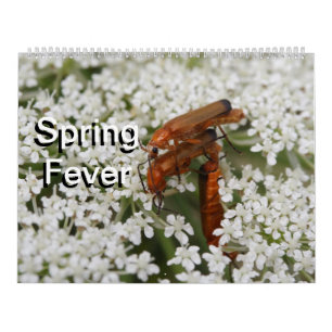 Insects Macros 2021 Kalender Calendar