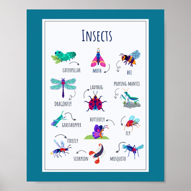 Insects School Education Learning Poster (Front)