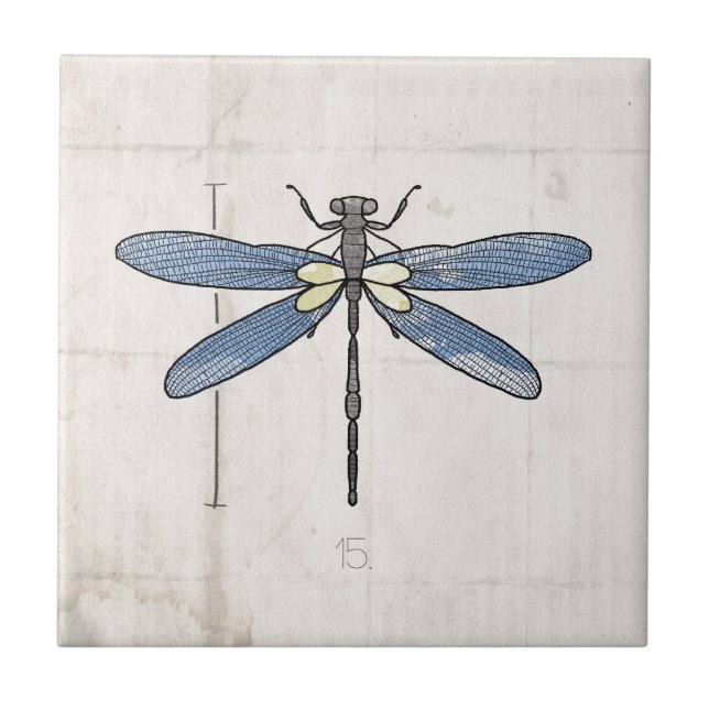 Insects Series- Dragonfly by VOL25 Tile (Front)