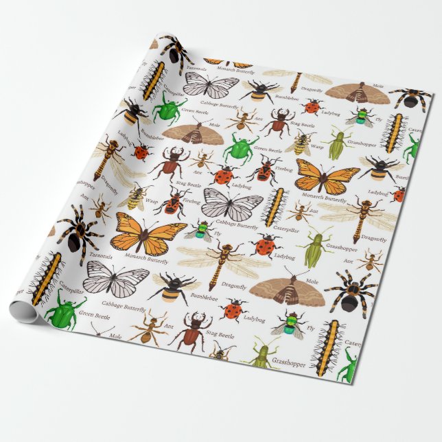 Insects Wrapping Paper (Unrolled)