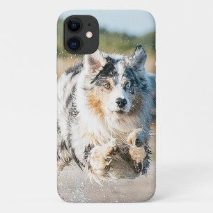 Insert Your Own Photo of Your Australian Shepherd Case-Mate iPhone Case