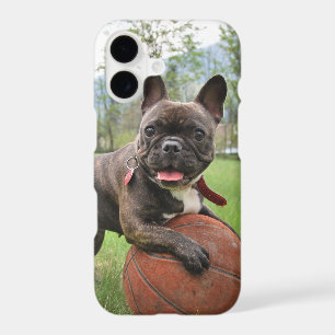 Insert Your Own Photo of Your French Bulldog