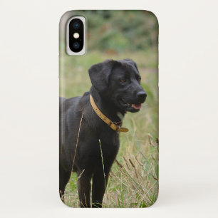 Insert Your Own Photo of Your Labrador Retriever Case-Mate iPhone Case