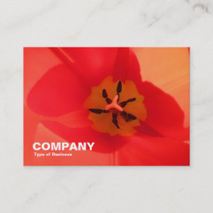 Inside a Tulip Business Card