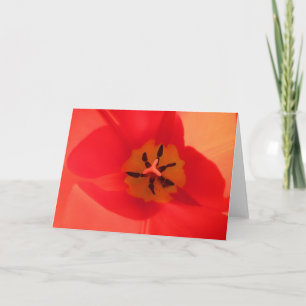 Inside a Tulip Card