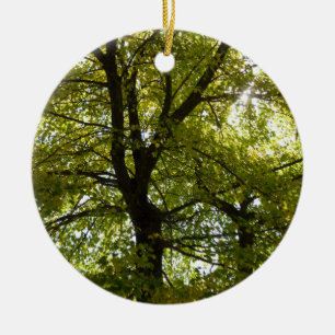 Inside a Yellow Maple Tree Autumn Ceramic Tree Decoration