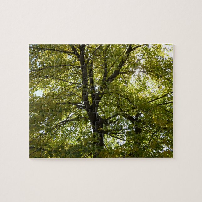 Inside a Yellow Maple Tree Autumn Jigsaw Puzzle (Horizontal)