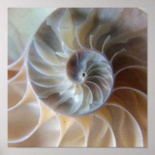 Inside Nautilus Poster