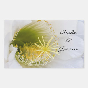 Inside of a white cactus in bloom rectangular sticker