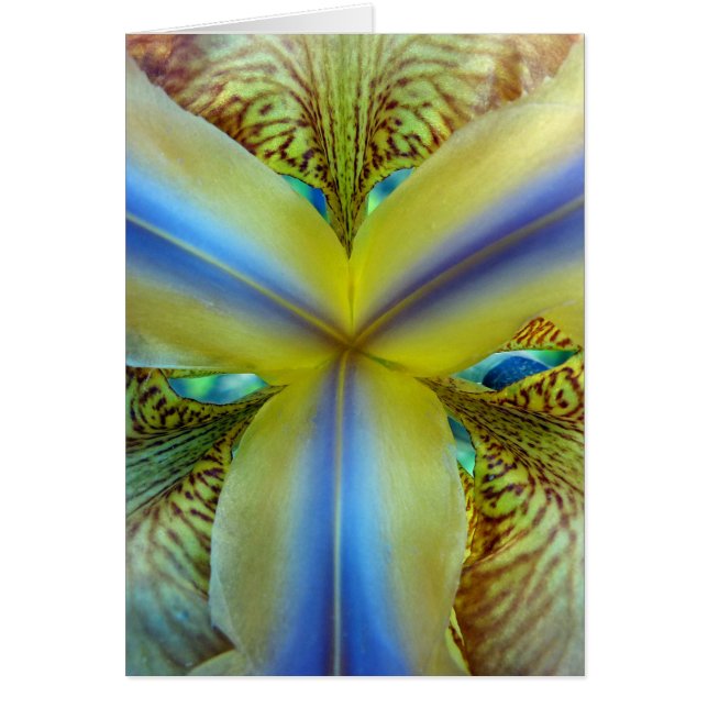 Inside of Iris (Front)