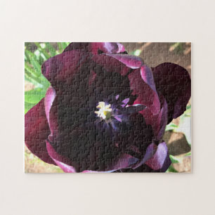 Inside Queen of the Night Tulip Jigsaw Puzzle