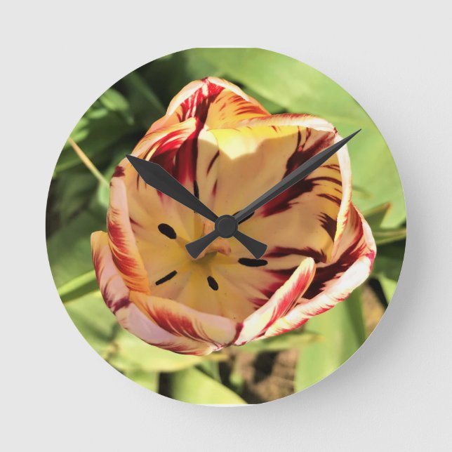 Inside Red & White Tulip Round Clock (Front)