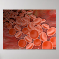 Inside View Of The Artery With Red Blood Cells