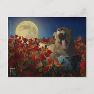 Insomnia Postcard