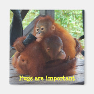 Inspiration from Babies: Hugs Are Important Magnet