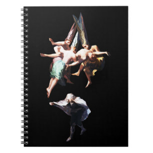 Inspiration of Francisco Goya, Witches Flight Notebook