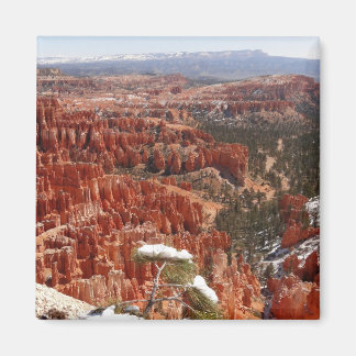 Inspiration Point at Bryce Canyon I Magnet