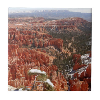 Inspiration Point at Bryce Canyon I Tile