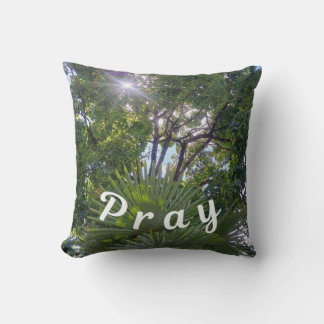 Inspiration: "Pray" Cushion