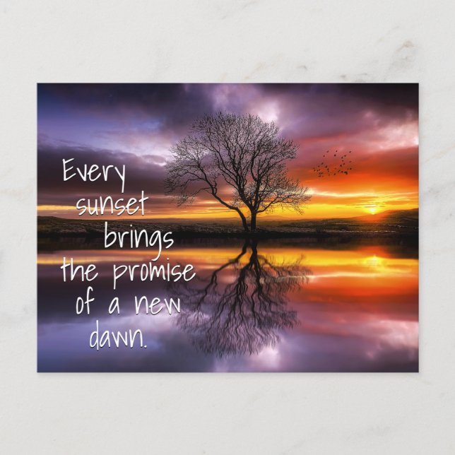 Inspiration Quote New Dawn Sunset Postcard (Front)