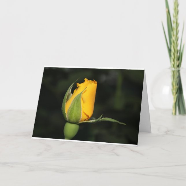 Inspiration rose card with bible verse (Front)