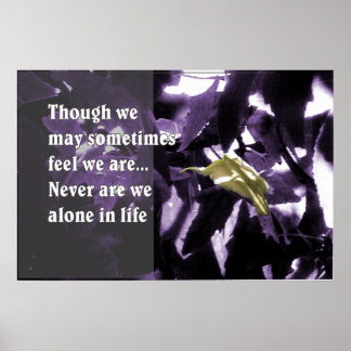 Inspiration Through Nature Poster