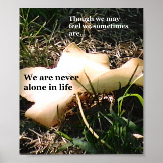 Inspiration Through Nature Poster