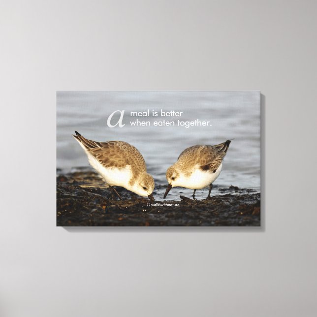 Inspirational "A Meal is Better ..." Sanderlings Canvas Print (Front)