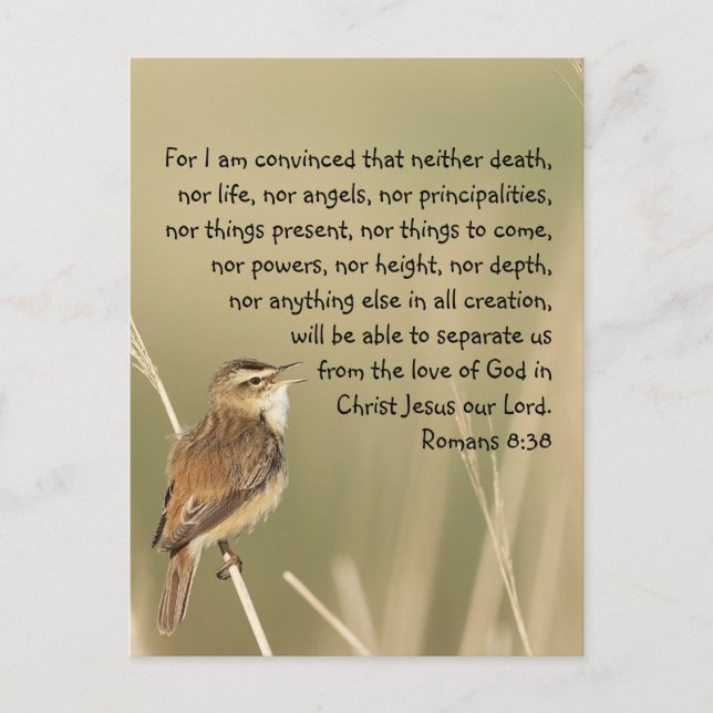 Inspirational Bible Scripture Quote Romans 8:38  Postcard (Front)