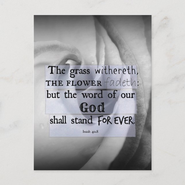 Inspirational Bible Verse: Word of God Shall Stand Postcard (Front)