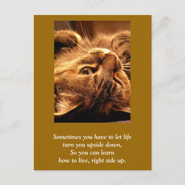 Inspirational card: Life up side down Postcard (Front)