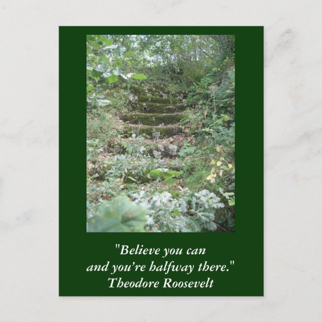 Inspirational card. Quote by Roosevelt Postcard (Front)