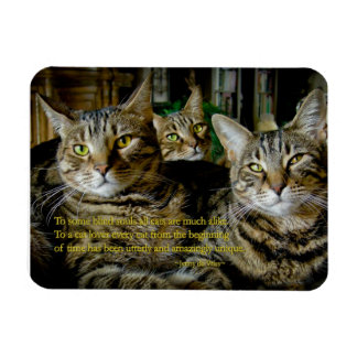 Inspirational Cat Magnet - All cats are unique