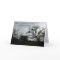 Inspirational Comfort Card: Oaks against grey sky