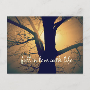 Inspirational Fall in Love with Life Quote Postcard
