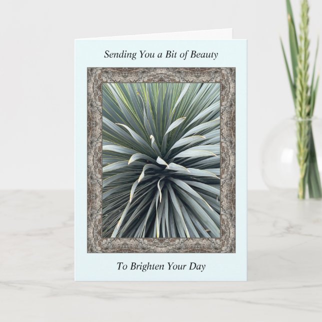 Inspirational Get Well Card with a Stunning Yucca (Front)
