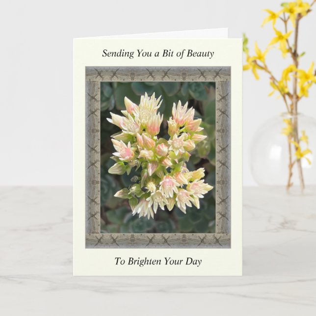 Inspirational Get Well Card with Succulent Flowers (Yellow Flower)