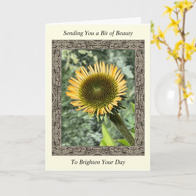 Inspirational Get Well Card with Young Sunflower (Yellow Flower)