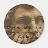 Inspirational Goethe Quote